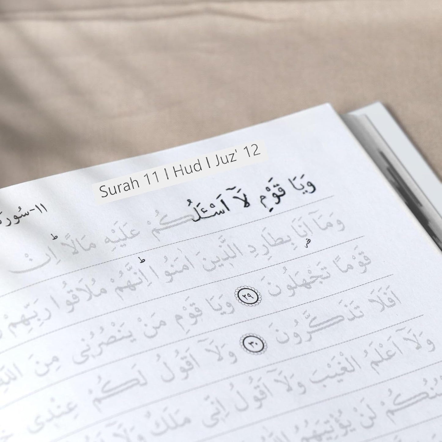 Traceable Shadow Quran | Arabic Writing & Memorization Aid